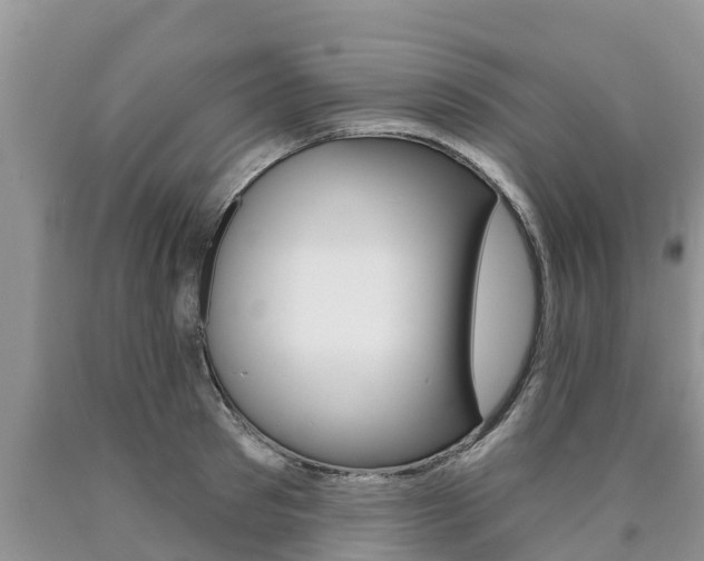 X0000090770897200707201112