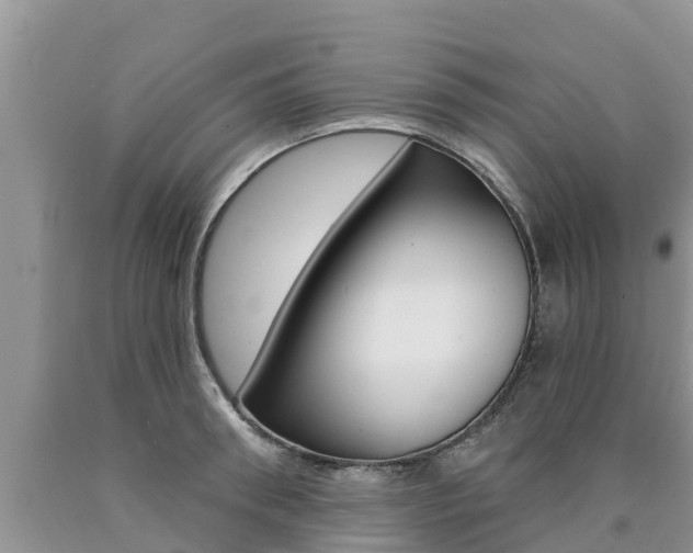 X0000090770898200707201112