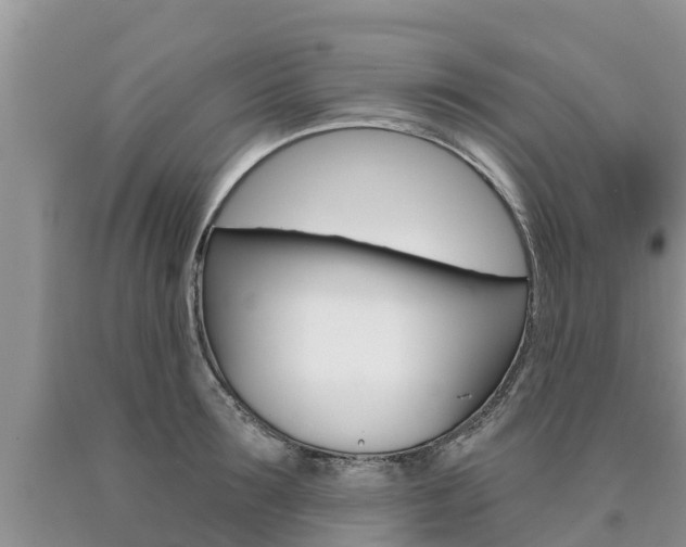 X0000090770899200707201112