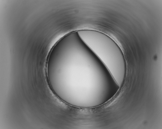X0000090770901200707201112