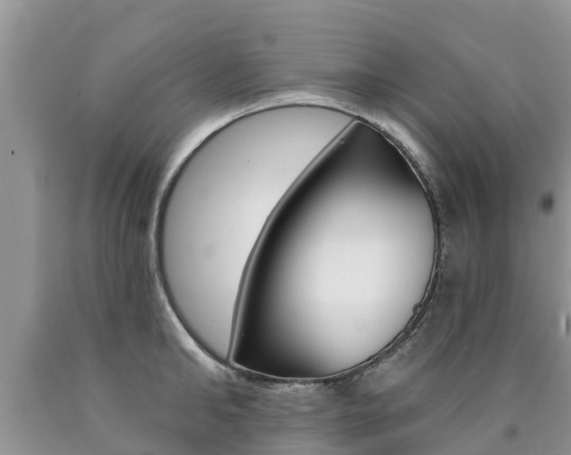 X0000090770902200707201112