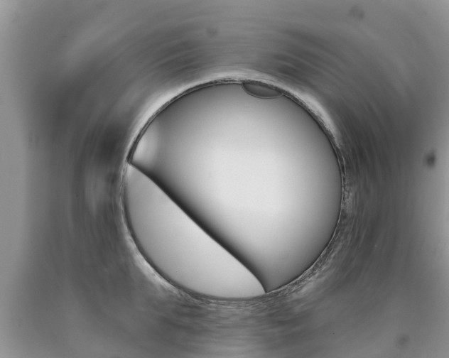 X0000090770903200707201112