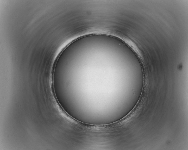 X0000090770904200707201112