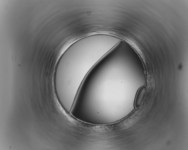 X0000090770906200707201112