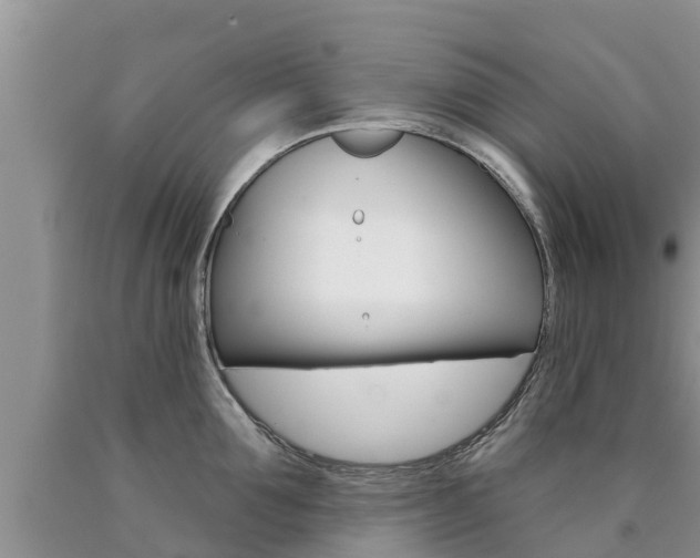 X0000090770907200707201112
