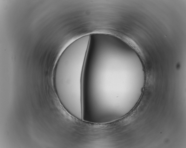 X0000090770908200707201112