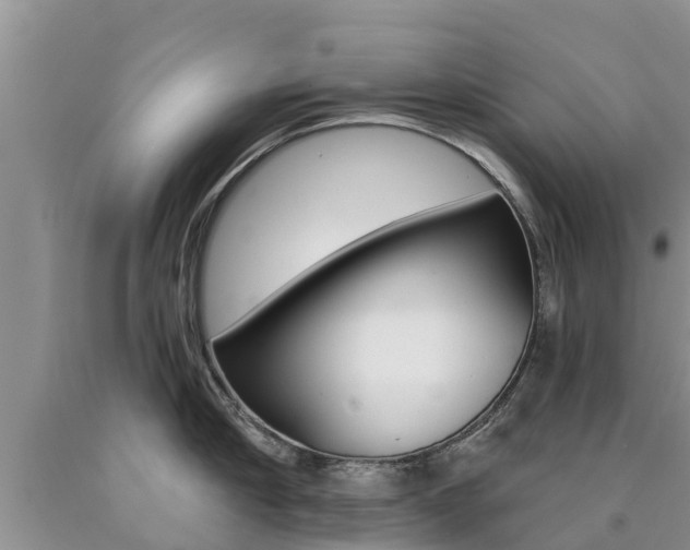 X0000090770910200707201112