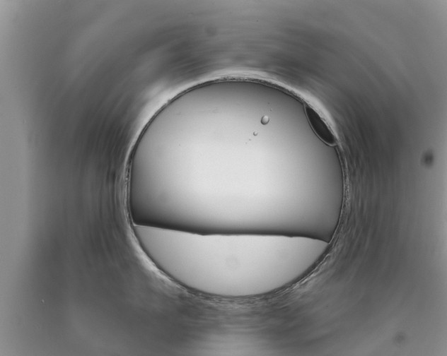 X0000090770911200707201112