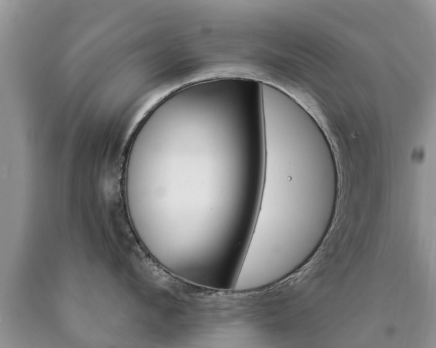 X0000090770912200707201112