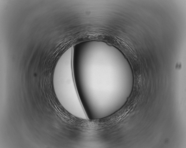 X0000090770914200707201111