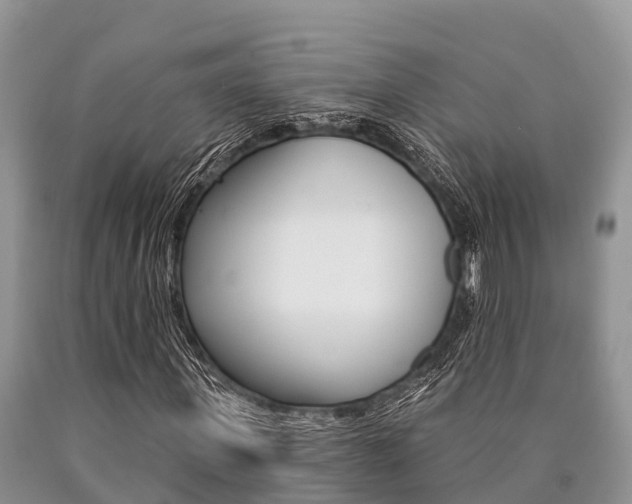 X0000090770915200707201111