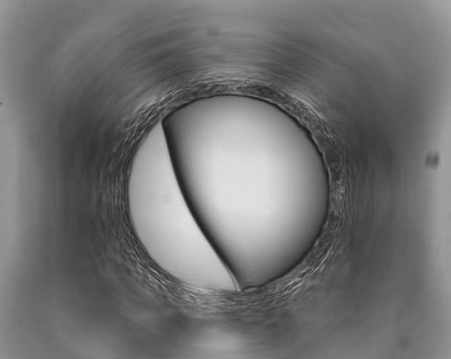 X0000090770917200707201111