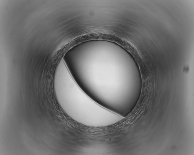 X0000090770919200707201111