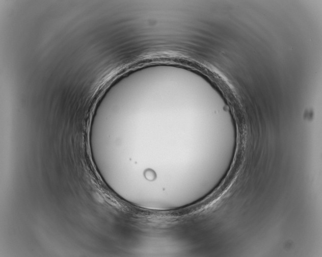 X0000090770921200707201111