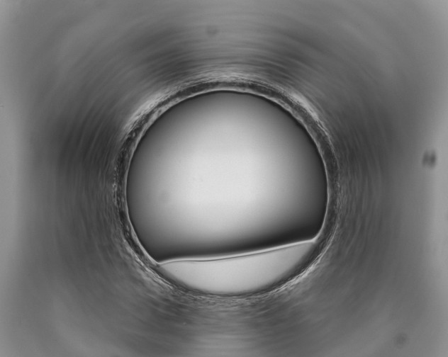 X0000090770922200707201111