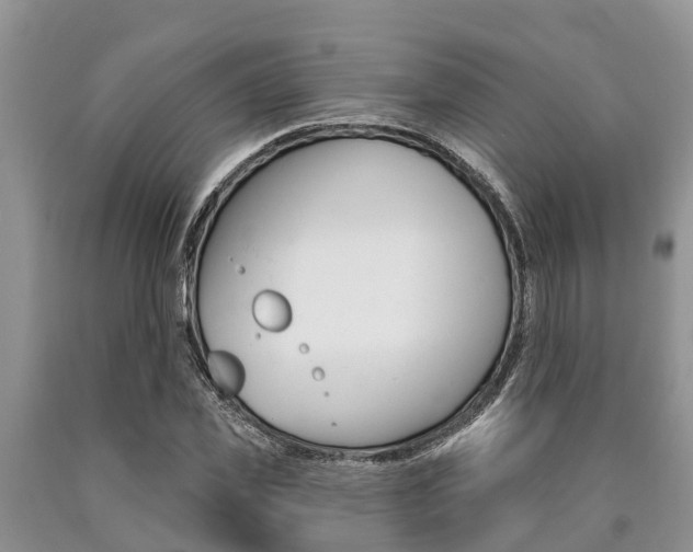 X0000090770925200707201111
