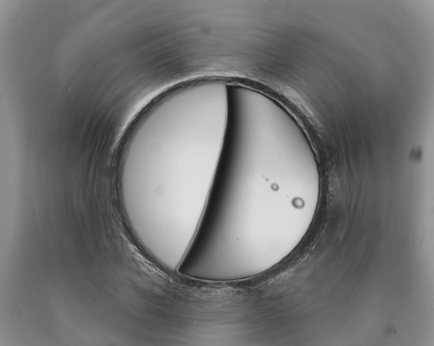 X0000090770926200707201111