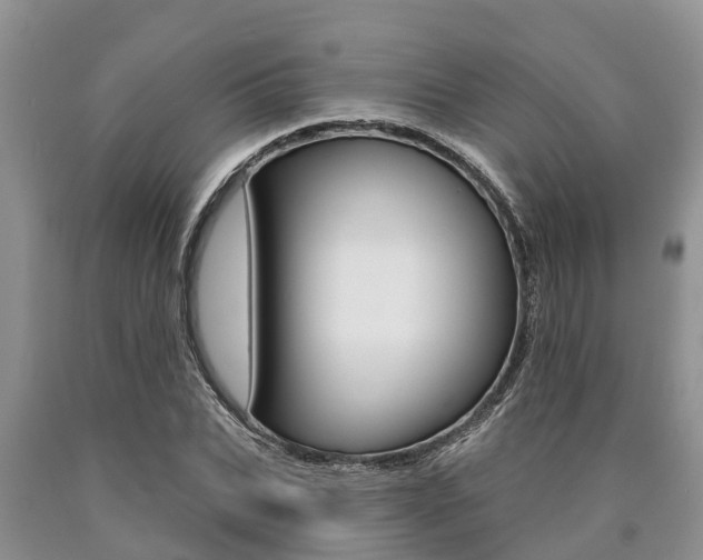 X0000090770927200707201111