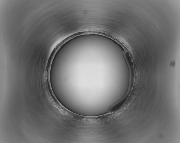 X0000090770928200707201111