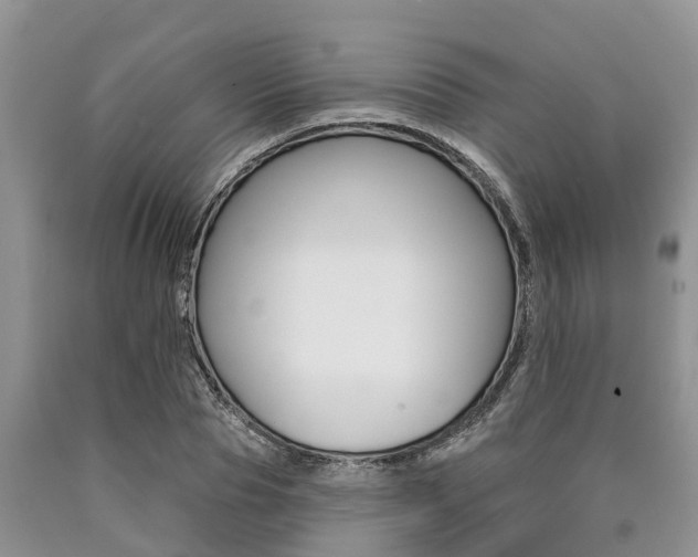 X0000090770929200707201111