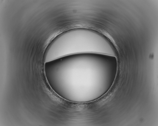 X0000090770930200707201111