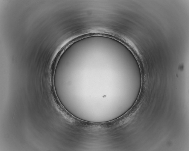 X0000090770931200707201111