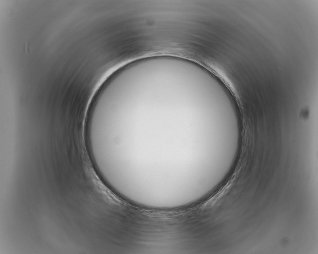X0000090770932200707201111