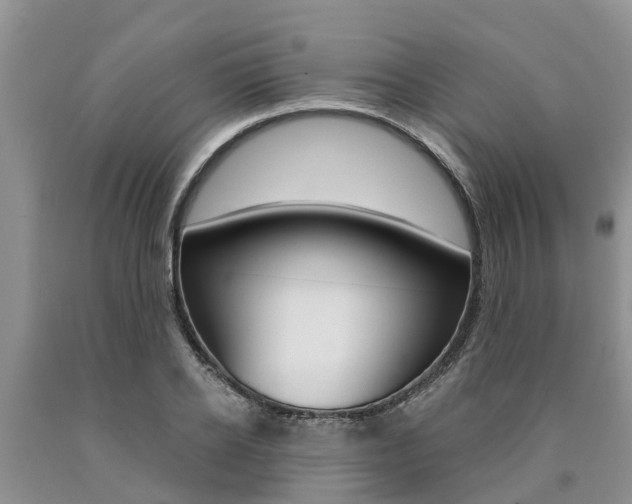 X0000090770934200707201111