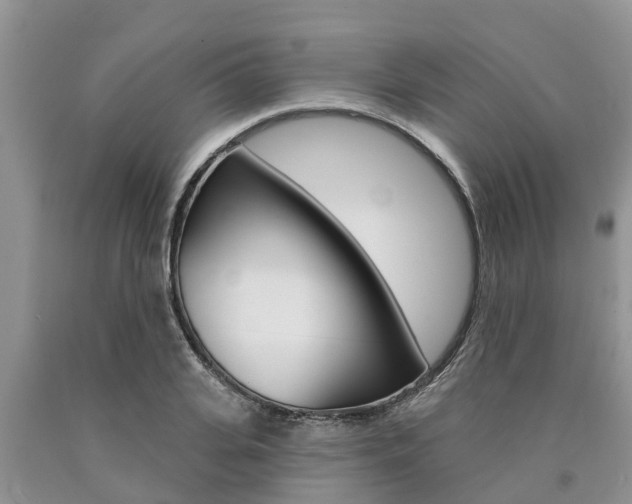 X0000090770935200707201111