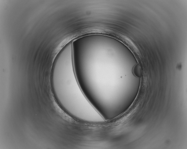 X0000090770938200707201111