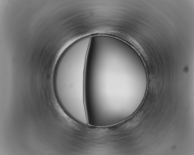 X0000090770939200707201111