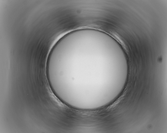 X0000090770940200707201111