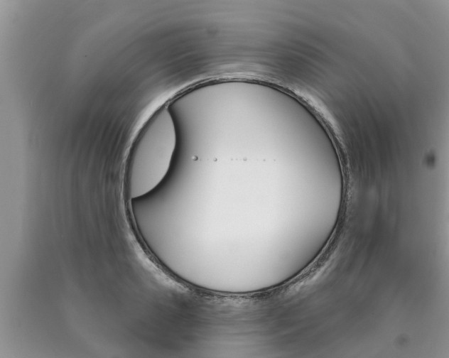X0000090770941200707201111