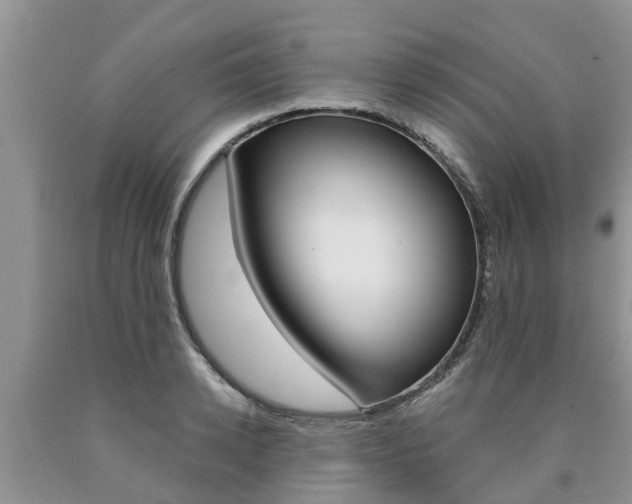 X0000090770942200707201111