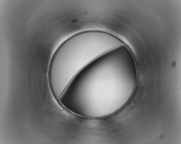 X0000090770943200707201111