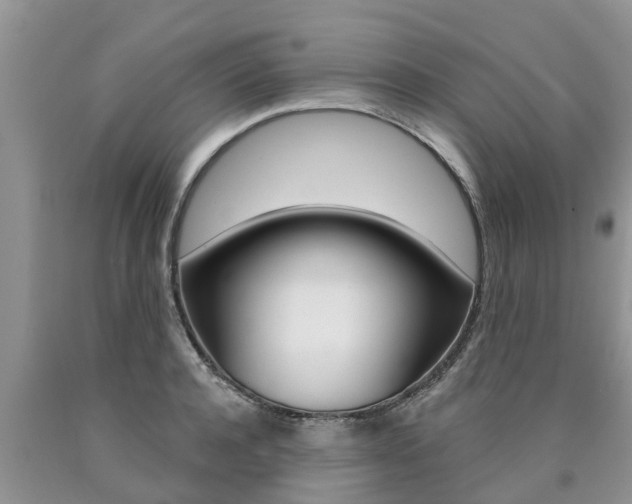 X0000090770944200707201111