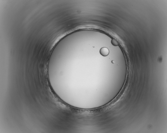 X0000090770945200707201111
