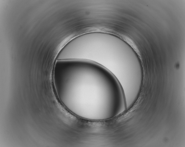 X0000090770946200707201111