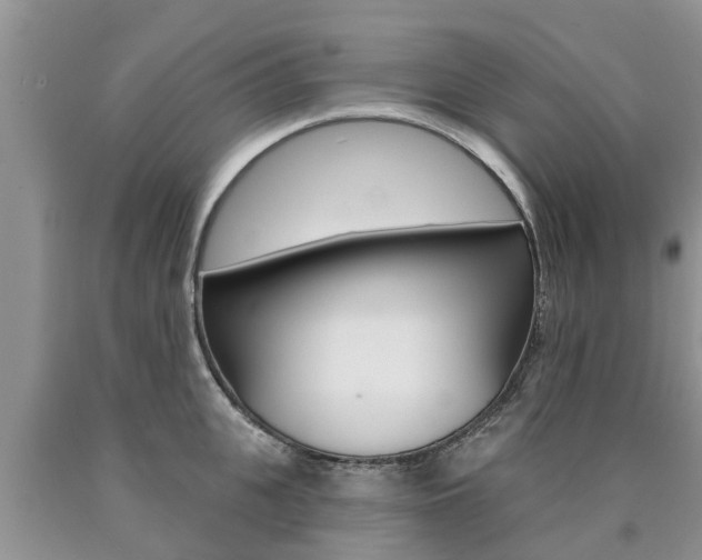 X0000090770951200707201112