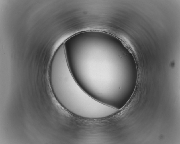 X0000090770952200707201112