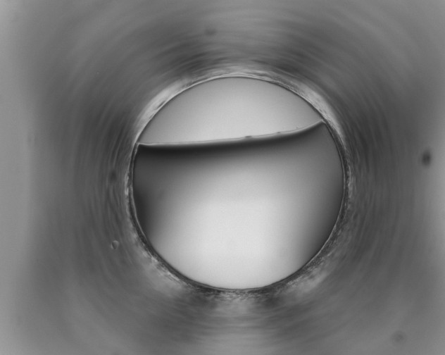 X0000090770954200707201112