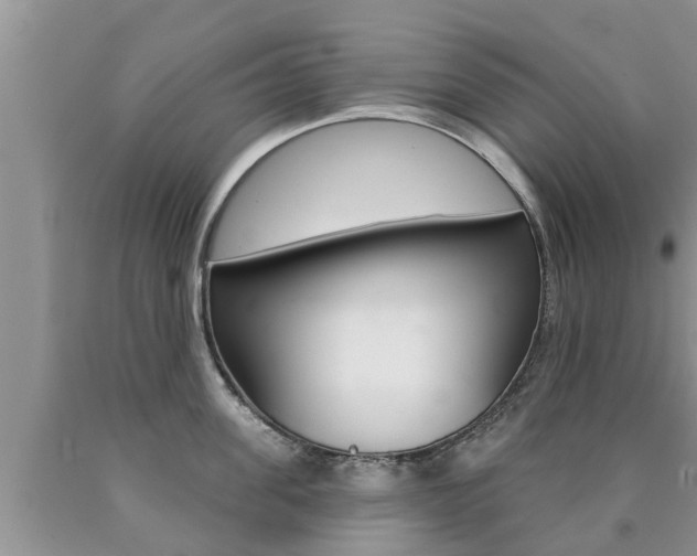 X0000090770955200707201112