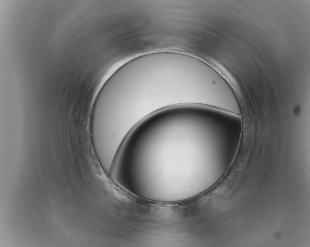 X0000090770956200707201112