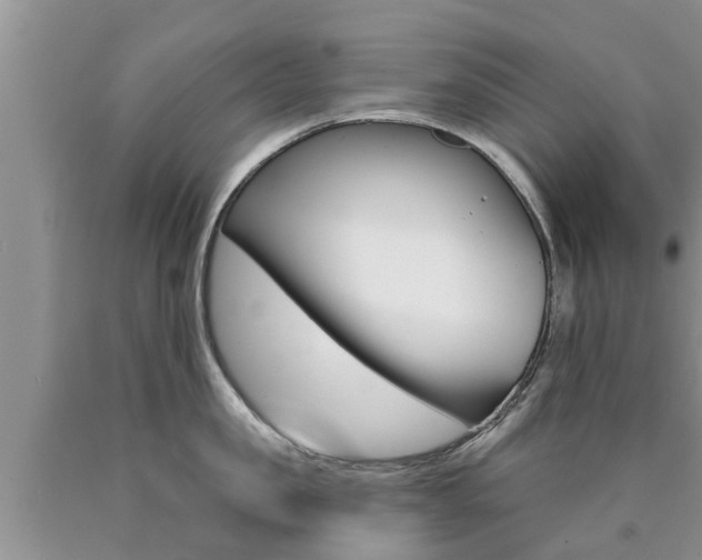 X0000090770957200707201112