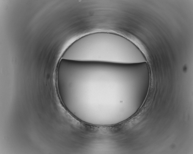 X0000090770958200707201112
