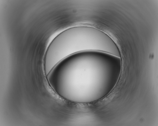 X0000090770960200707201112