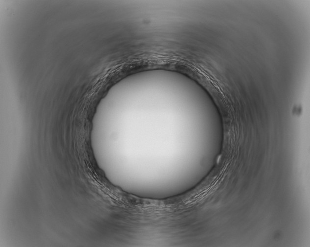 X0000090770961200707201111