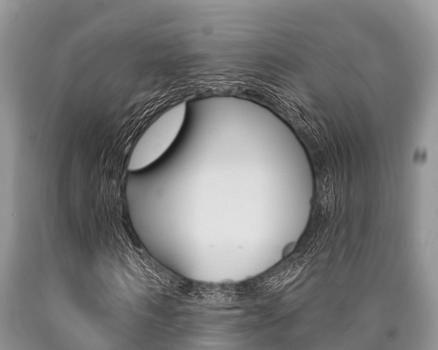X0000090770962200707201111