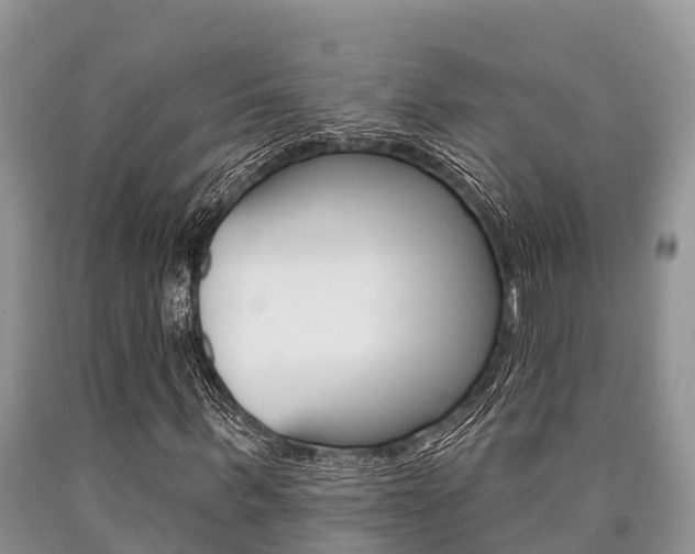 X0000090770963200707201111