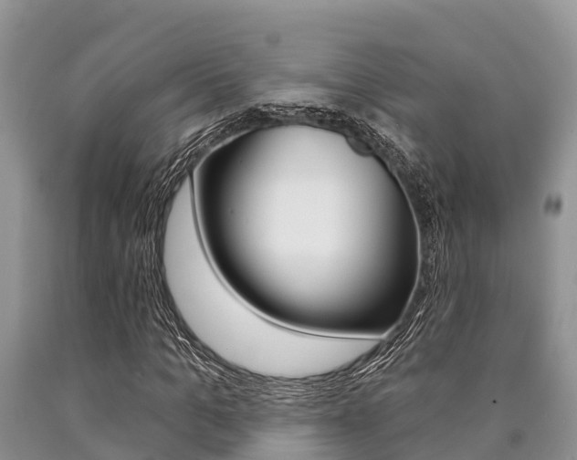 X0000090770965200707201111